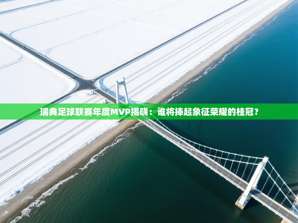 瑞典足球联赛年度MVP揭晓：谁将捧起象征荣耀的桂冠？  第2张