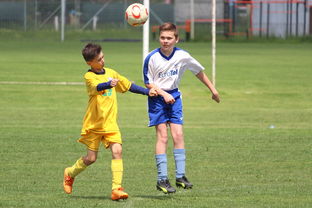 开云体育官网入口-斯洛伐克主场力克匈牙利，激情四射的比赛引发球迷热议